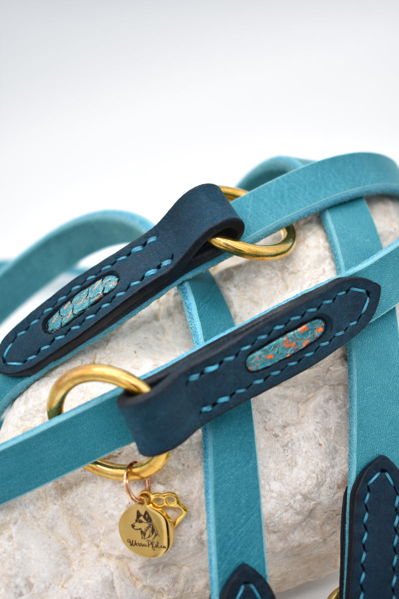 Fettlederleine mit Blanklederapplikationen "Ocean Glow"
