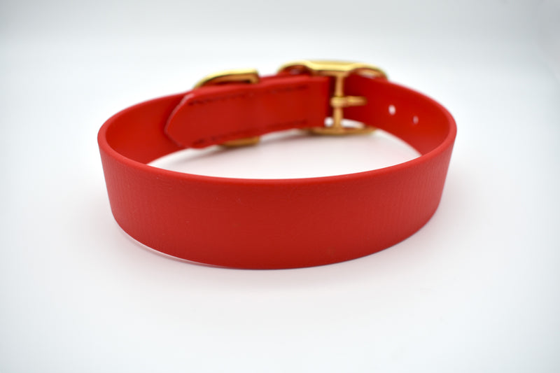 schlichtes Halsband aus Biothane