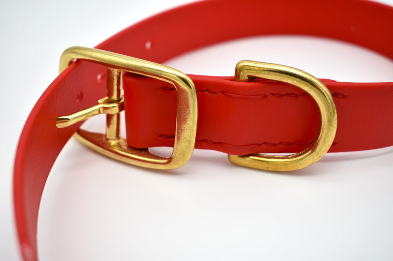 schlichtes Halsband aus Biothane
