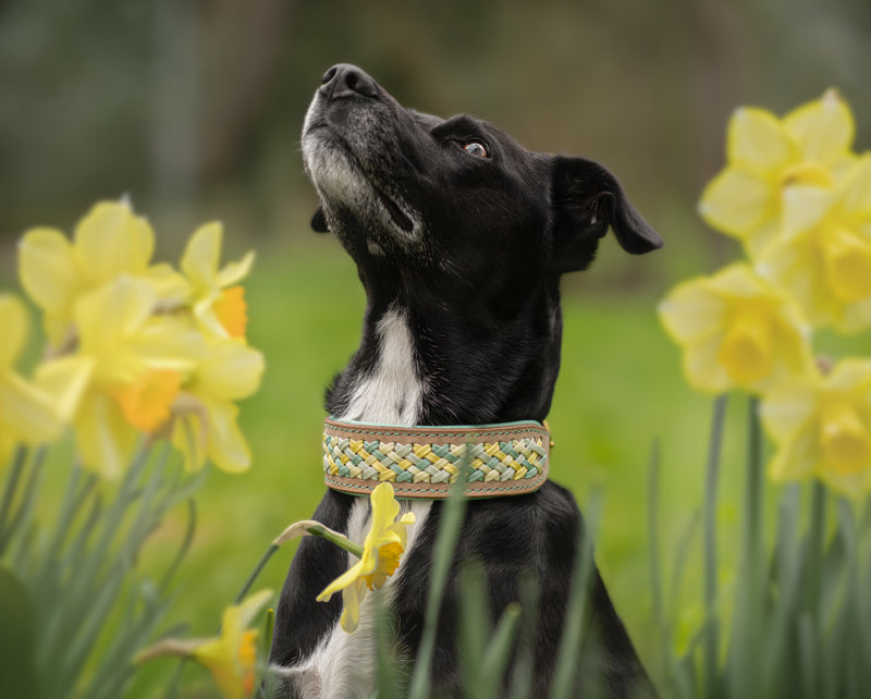 "Harmony" Halsband aus der BLOOM Kollektion