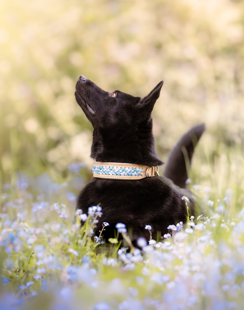 "Harmony" Halsband aus der BLOOM Kollektion