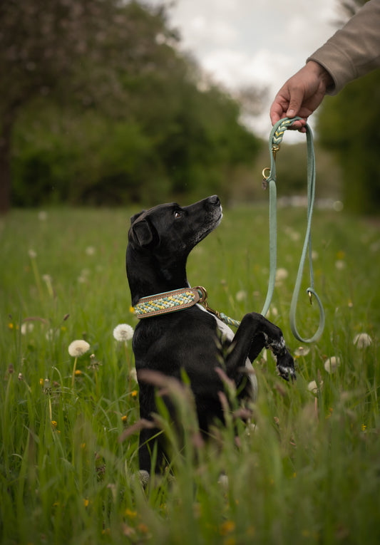 "Lacing" Halsband aus der BLOOM Kollektion