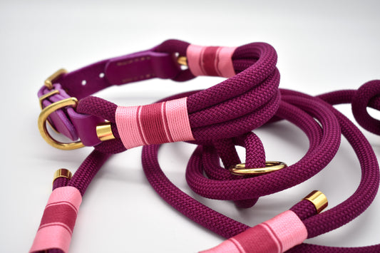 Halsband aus Tau mit Fettleder-Adapter