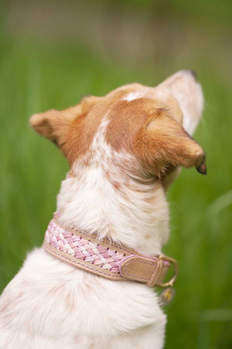 "Lacing" Halsband aus der BLOOM Kollektion