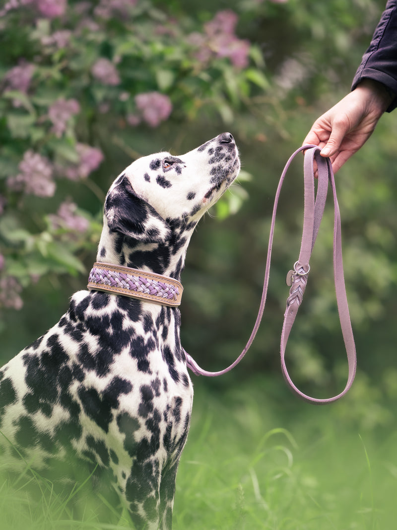 "Lacing" Halsband aus der BLOOM Kollektion